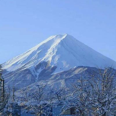偶像大师poplinks日服下载